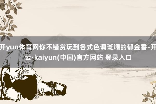 开yun体育网你不错赏玩到各式色调斑斓的郁金香-开云·kaiyun(中国)官方网站 登录入口