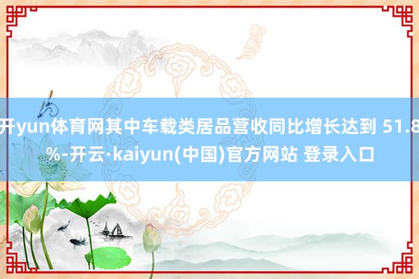 开yun体育网其中车载类居品营收同比增长达到 51.8%-开云·kaiyun(中国)官方网站 登录入口