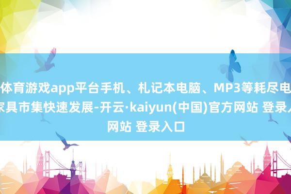 体育游戏app平台手机、札记本电脑、MP3等耗尽电子家具市集快速发展-开云·kaiyun(中国)官方网站 登录入口