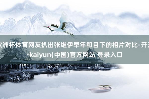 欧洲杯体育网友扒出张维伊早年和目下的相片对比-开云·kaiyun(中国)官方网站 登录入口
