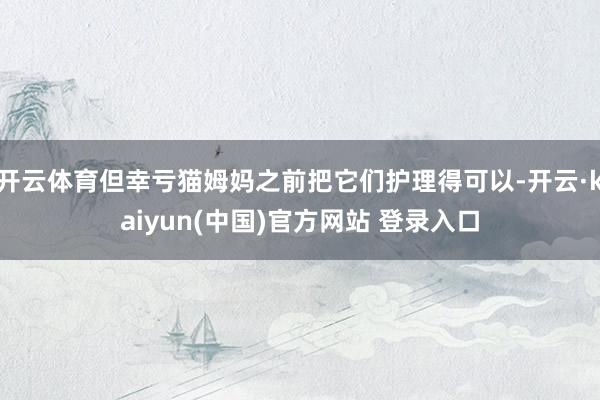 开云体育但幸亏猫姆妈之前把它们护理得可以-开云·kaiyun(中国)官方网站 登录入口