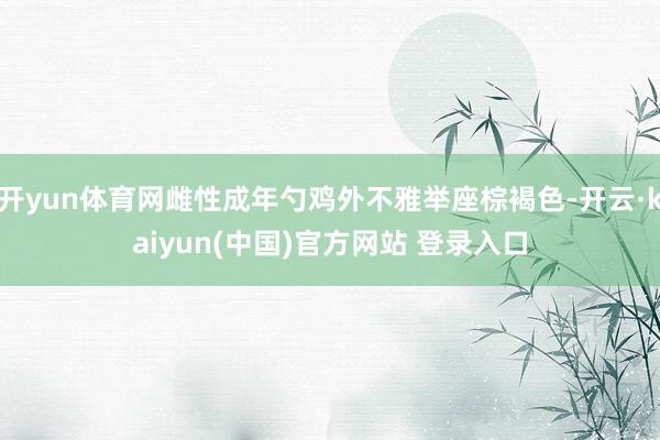 开yun体育网雌性成年勺鸡外不雅举座棕褐色-开云·kaiyun(中国)官方网站 登录入口