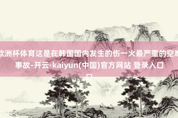 欧洲杯体育这是在韩国国内发生的伤一火最严重的空难事故-开云·kaiyun(中国)官方网站 登录入口