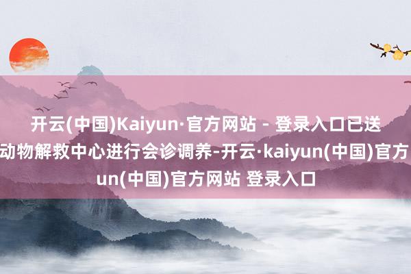 开云(中国)Kaiyun·官方网站 - 登录入口已送至潍坊市野生动物解救中心进行会诊调养-开云·kaiyun(中国)官方网站 登录入口