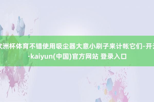 欧洲杯体育不错使用吸尘器大意小刷子来计帐它们-开云·kaiyun(中国)官方网站 登录入口
