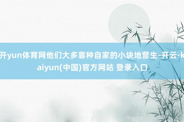 开yun体育网他们大多靠种自家的小块地营生-开云·kaiyun(中国)官方网站 登录入口