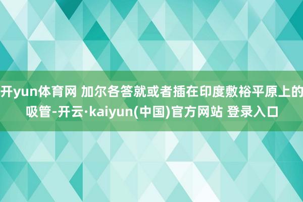 开yun体育网 加尔各答就或者插在印度敷裕平原上的吸管-开云·kaiyun(中国)官方网站 登录入口