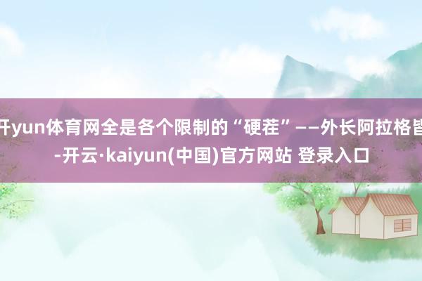 开yun体育网全是各个限制的“硬茬”——外长阿拉格皆-开云·kaiyun(中国)官方网站 登录入口
